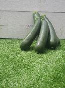 Courgettes