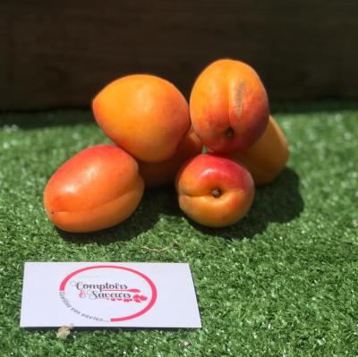 Abricots 