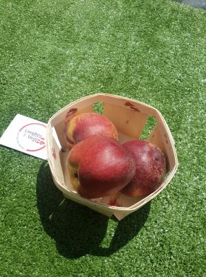 Nectarines Blanches