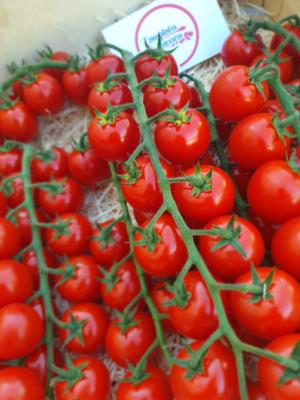 Tomates cerises grappe