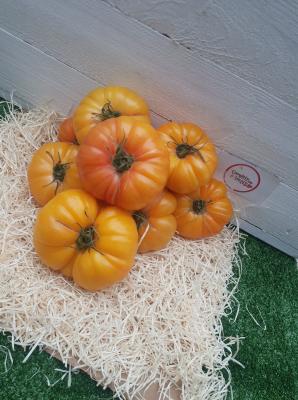 Tomates Ananas d'Antan
